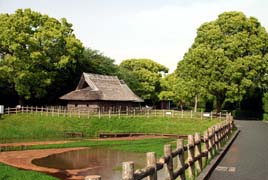 環濠・復元住居